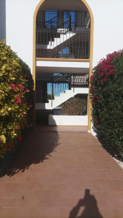 Apartamento La Zenia Molino Blanco Alicante Exterior foto